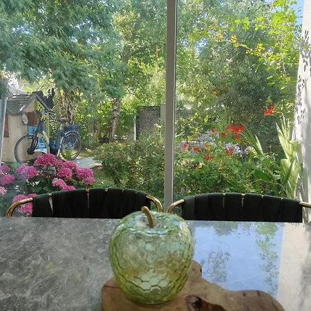 Angelina Вилла *